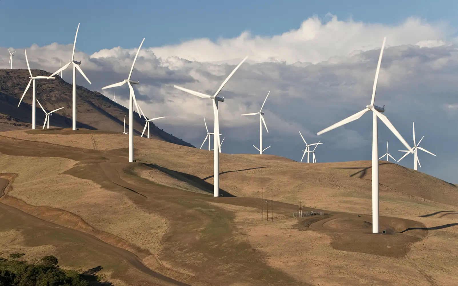 Wind turbines across a large renewable energy project
